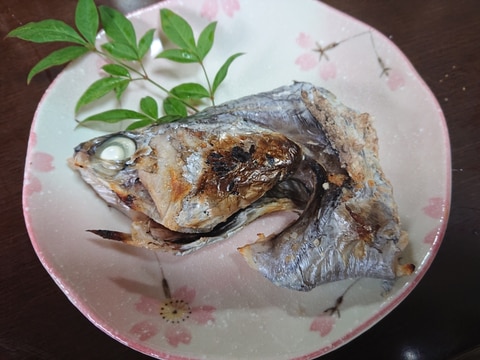 【釣り魚料理】タチウオの兜焼き